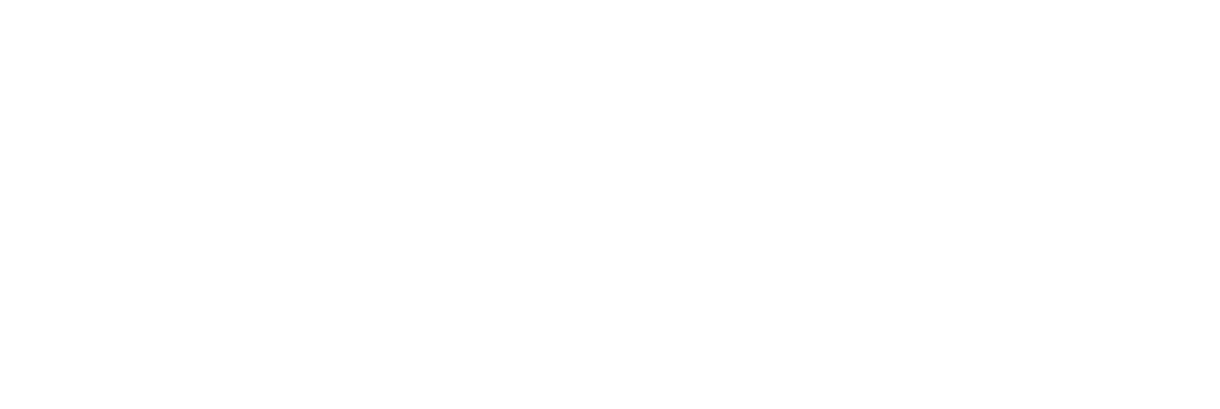 Instituto Wanfi